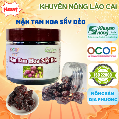 Mận Tam Hoa Sấy Dẻo (500gram) - Sản Phẩm OCOP 3 sao tỉnh Lào Cai